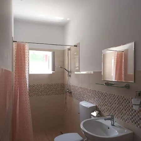 Vila Cosmin Guest house *