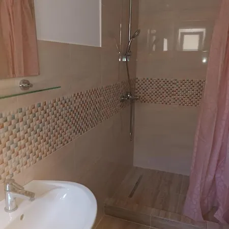 Guest house Cosmin