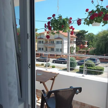 Vila Cosmin Guest house